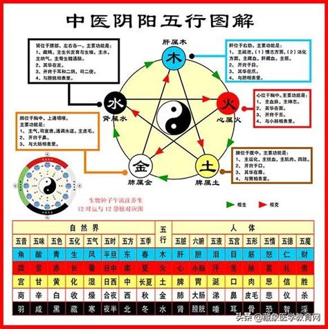 中醫五行屬性|中醫基礎/五行學說